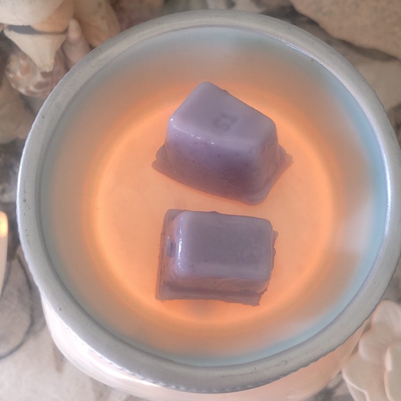 SCENTSY CHASING FIREFLIES  REMEMBER WARMER - Picture 6 of 14